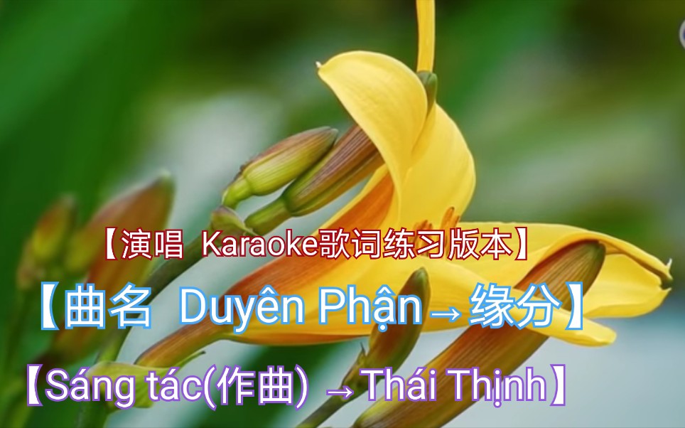 [图]【越南歌曲】【演唱 Karaoke歌词练习版本】【曲名 Duyên Phận→缘分】【Sáng tác(作曲) →Thái Thịnh】 2019年2月发布