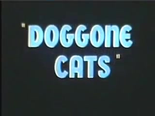 【搬运】华纳乐一通动画原版OP+ED:Doggone Cats(1947)哔哩哔哩bilibili