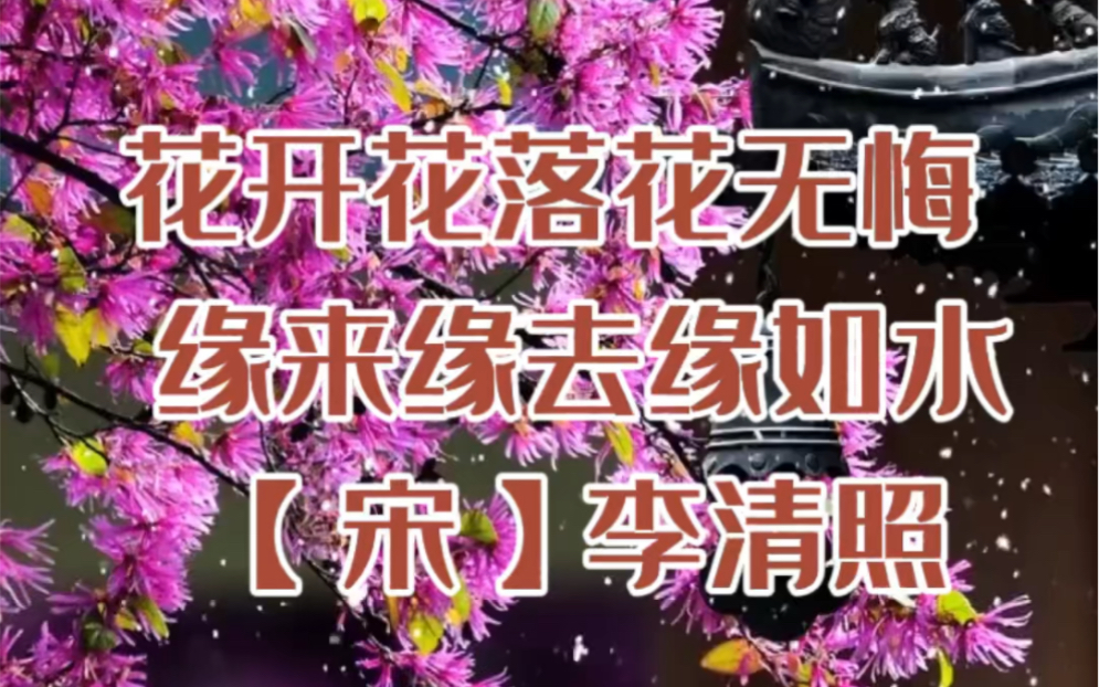 李清照用十七个花字,抒写了一生的悲欢离合!哔哩哔哩bilibili