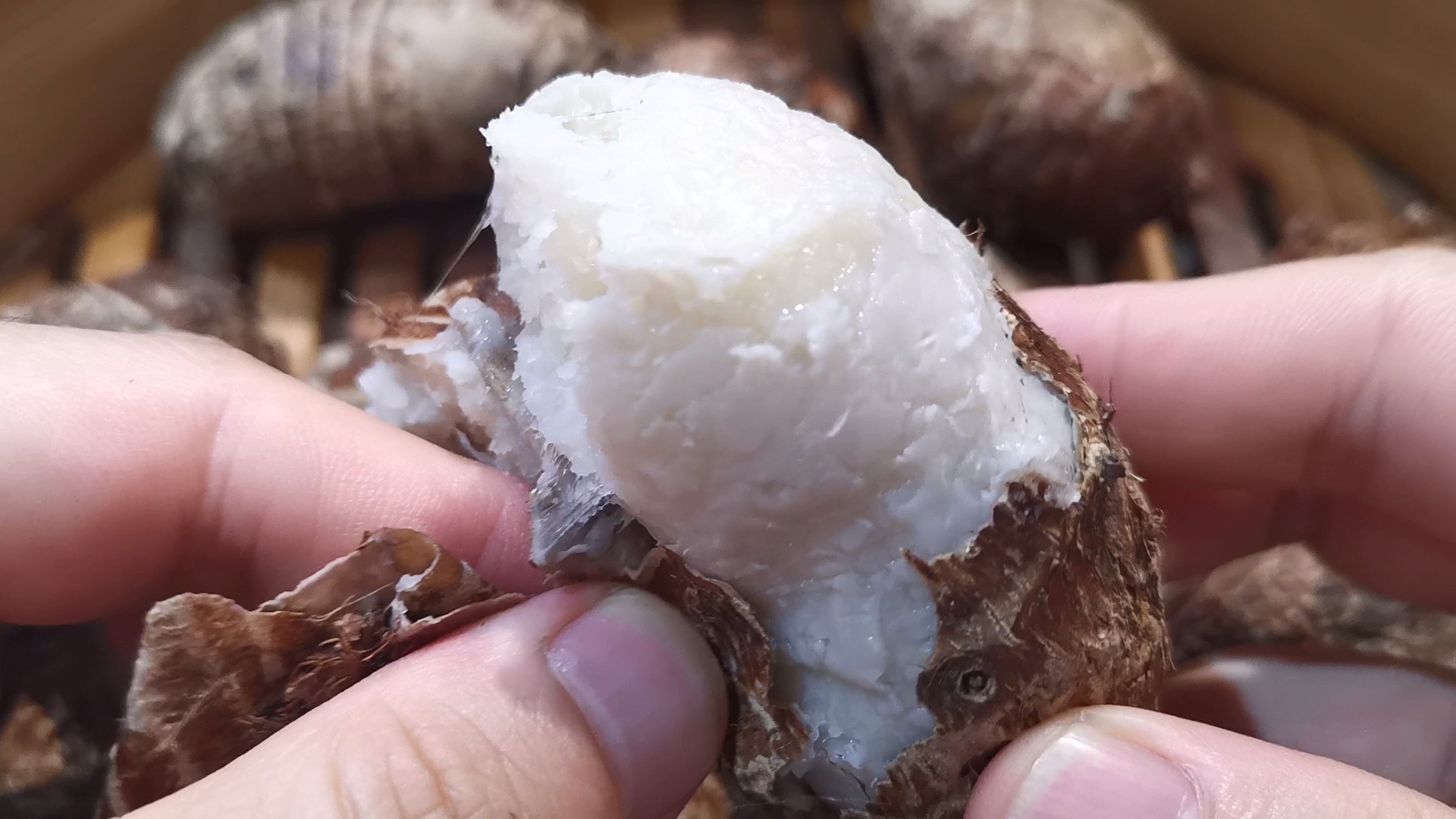 吃过这款芋艿的,都说赞!铅山红芽芋艿!