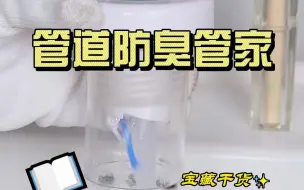 Download Video: 浴室柜下水道有异味，这款防臭塞就能解决