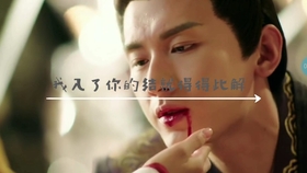 名言名句 琉璃 七我做事情 没有值不值得只有情不情愿 哔哩哔哩 つロ干杯 Bilibili