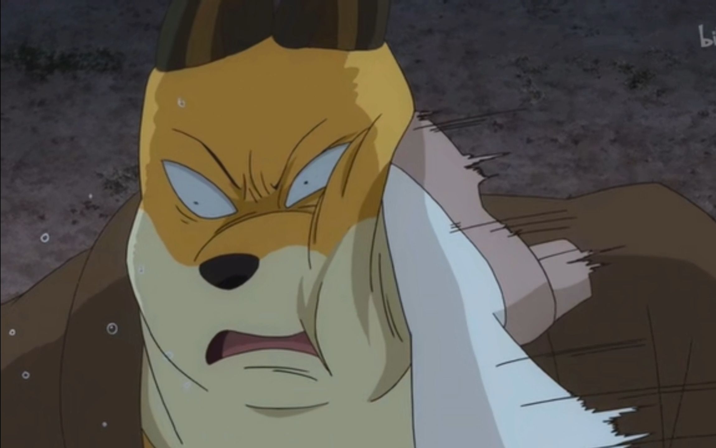 快用你无敌的卡波耶拉想想办法