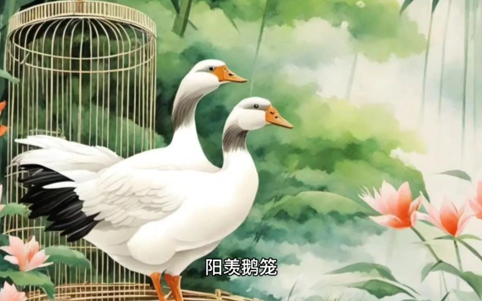 中国神话故事——阳羡鹅笼