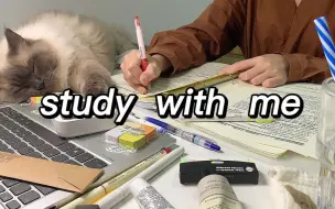 Study With Me | 猫咪伴学 | 1小时实况学习 | 原声 | 环境声 | 沉浸式学习 | 自习室