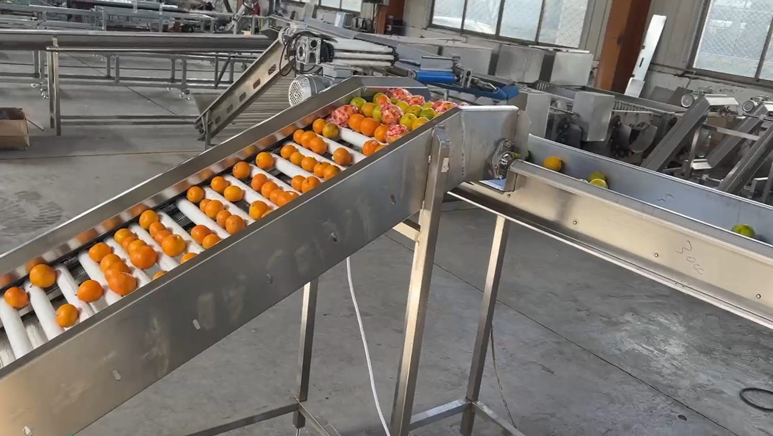 重量分选机生产厂家 #重量分选机 #广西柿子分选机 #云南百香果分选机