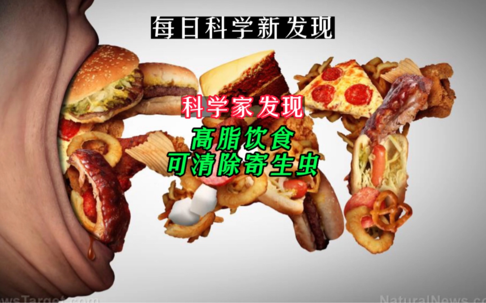 【每日科学新发现】你爱吃高脂美食吗?科学家发现高脂饮食可清除寄生虫 手语:@AMiner科技哔哩哔哩bilibili