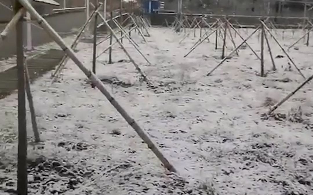 北京怀柔、延庆等多地降雪 现场市民直呼:满山全是雪啊哔哩哔哩bilibili