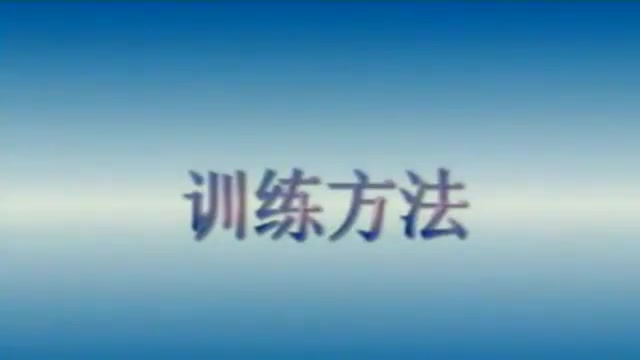 德国牧羊犬训狗教学训犬一点通有效果吗边境牧羊犬训练视频哔哩哔哩bilibili