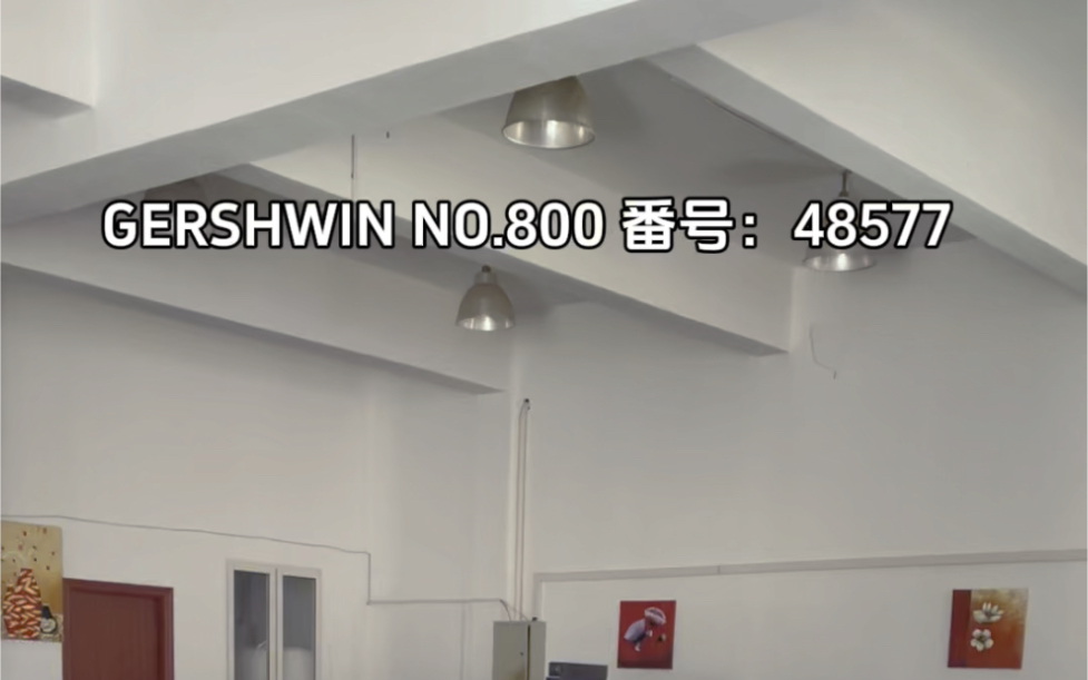 GERSHWIN NO.800 番号:48577 日产欧系品牌 经济实惠哔哩哔哩bilibili