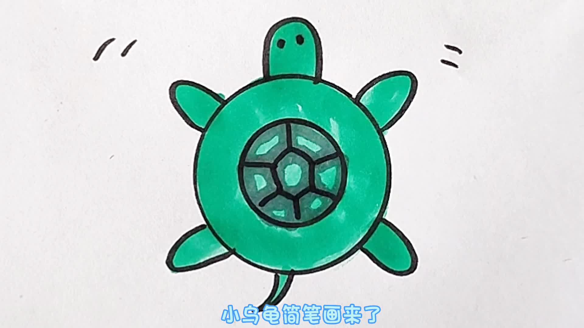 小乌龟简笔画