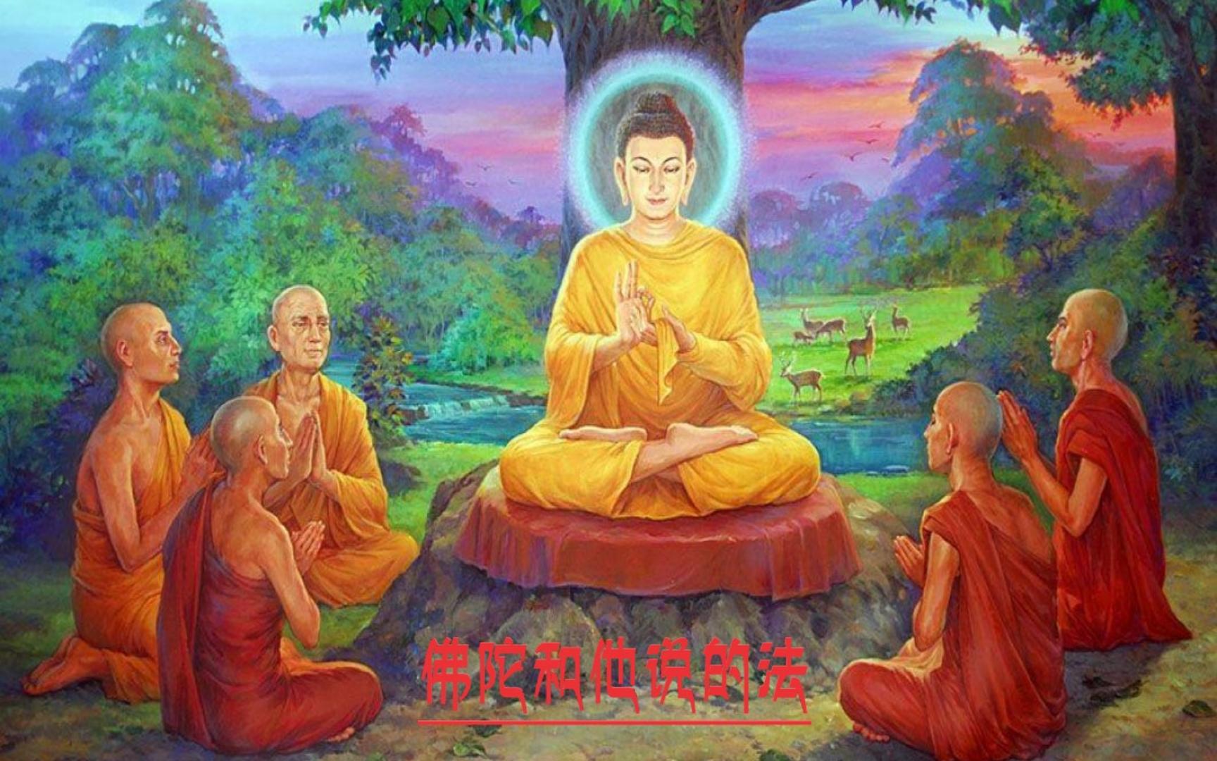 佛陀和他说的法 第七集 济群法师