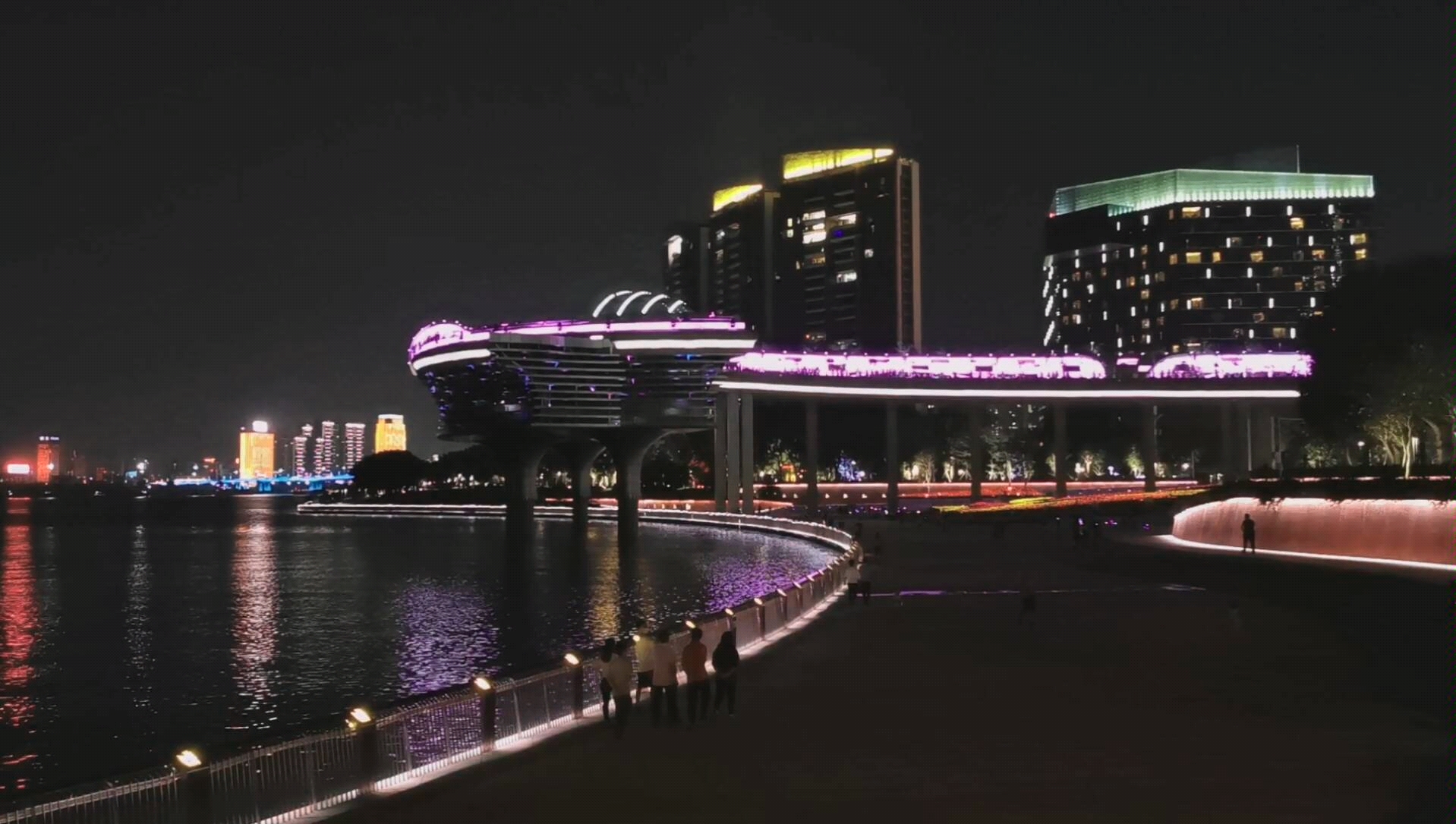顺德金凤凰美爆了的夜景