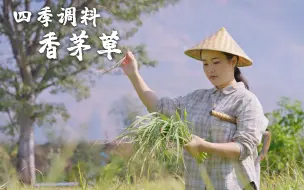 Download Video: 四季调料（十二）——香茅草，傣族菜里的灵魂调料【滇西小哥】