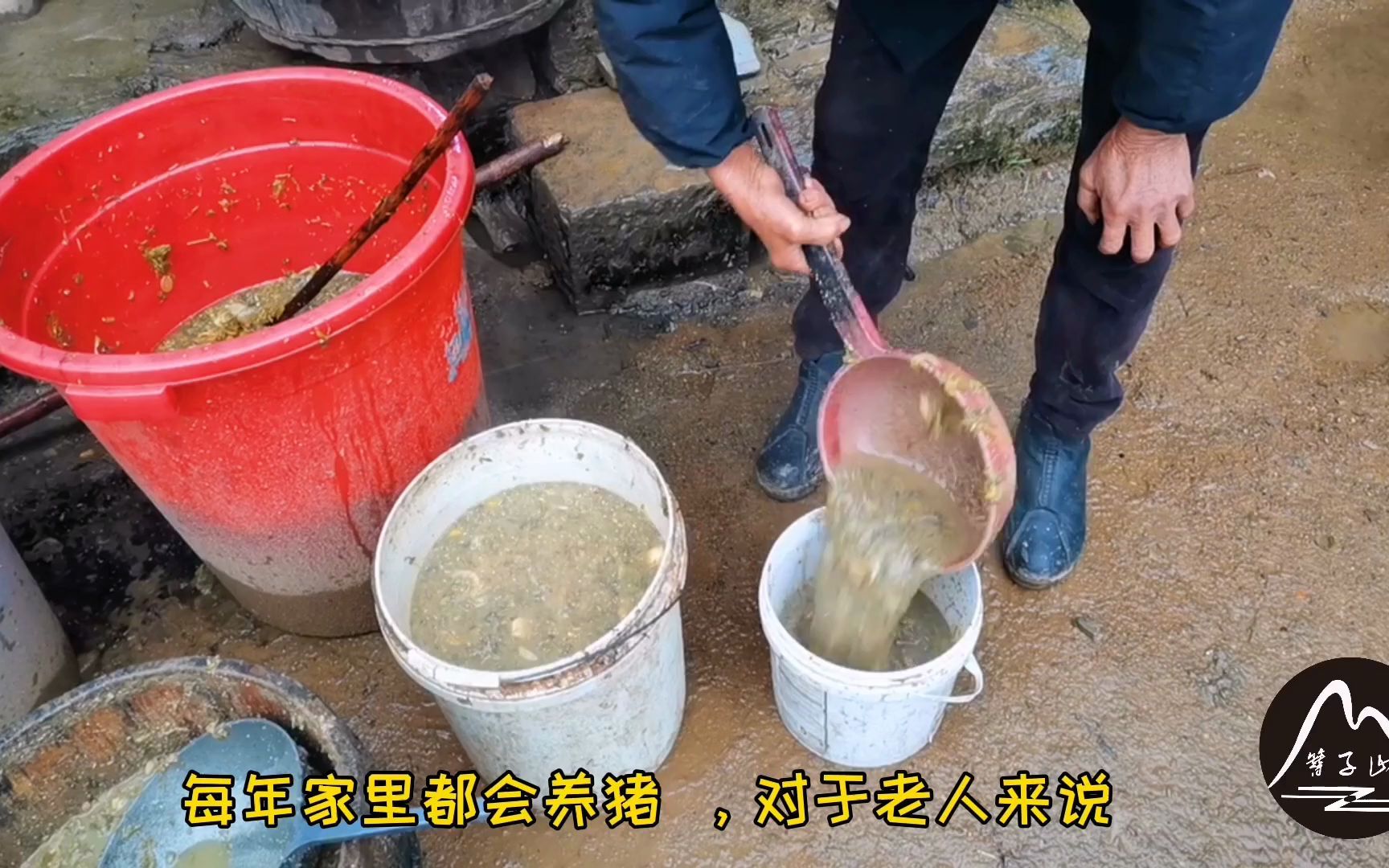 [图]湖南大山隐居着两老人，吃柴火饭喂熟食猪，他们为什么不搬出去住