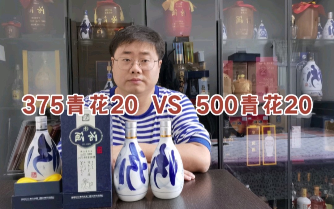 青花中的入门级,375毫升装更便宜?和500毫升比怎么样哔哩哔哩bilibili