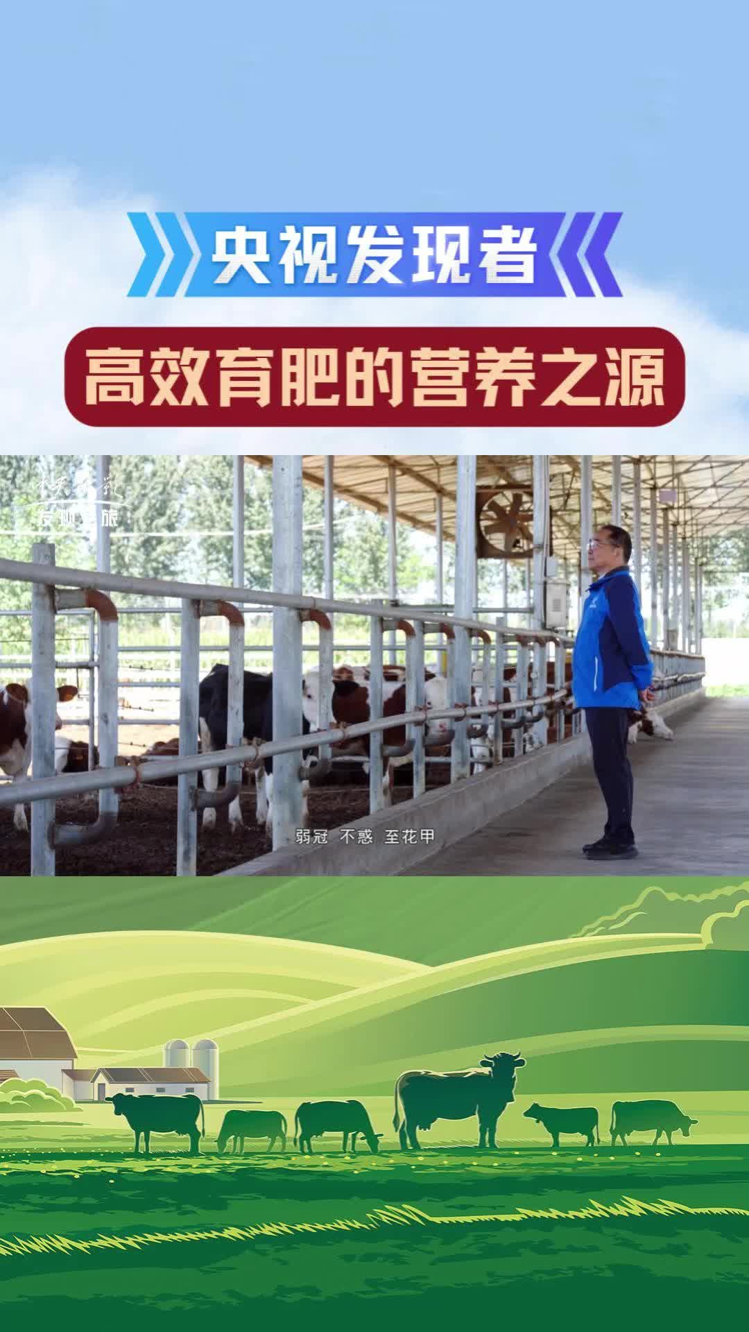 央视《发现者》栏目：高效育肥的营养之源