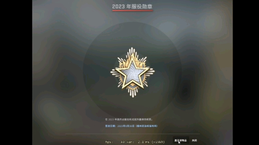 csgo2020服役勋章图片