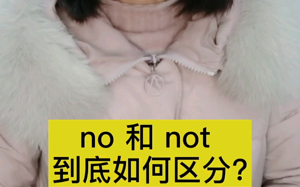 no与not区别用法哔哩哔哩bilibili