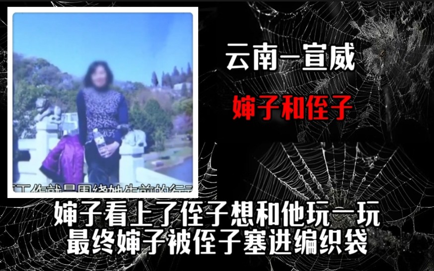 婶子看上了侄子想和他玩一玩,最终婶子被侄子塞进编织袋哔哩哔哩bilibili