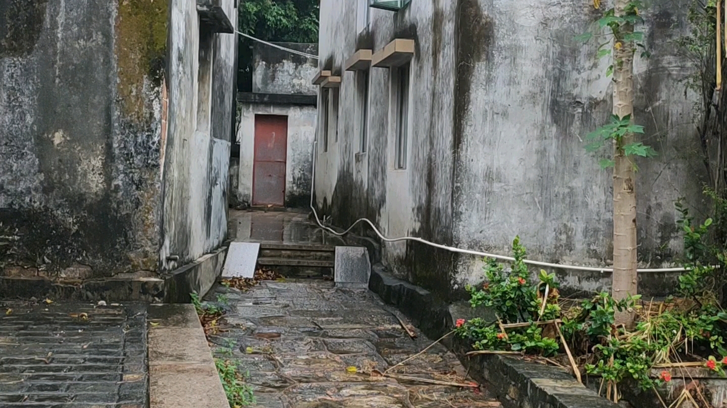 [图]笛声漫漫，秋雨绵绵，老房子的慢生活