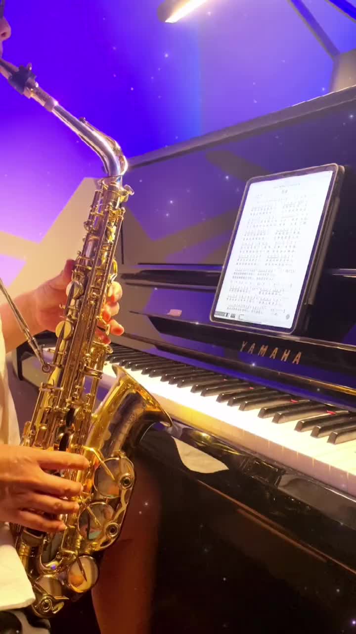 流行风萨克斯第四集像我这样的人萨克斯萨克斯演奏毛不易李雪琴