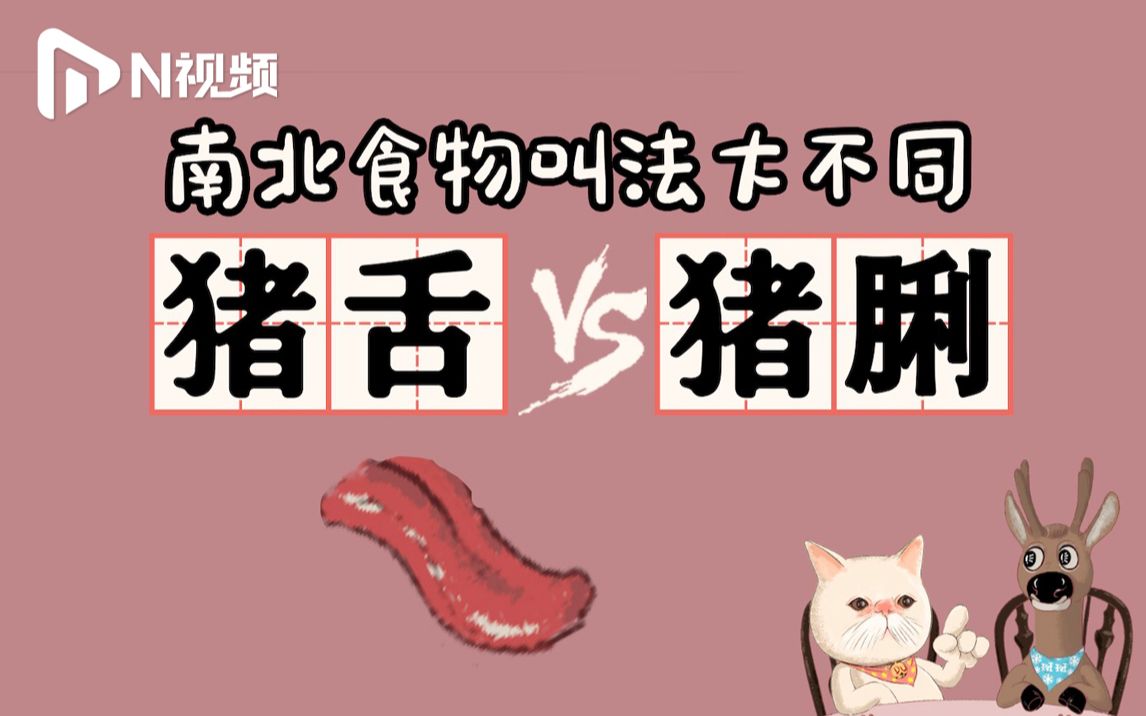 DUDU猫教你讲粤语24:猪舌vs猪脷哔哩哔哩bilibili