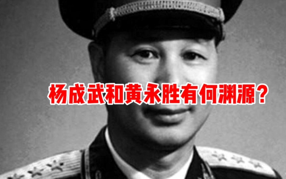 [图]他是杨成武的老战友：1967年杨成武评价了一句话，后来遭此人迫害