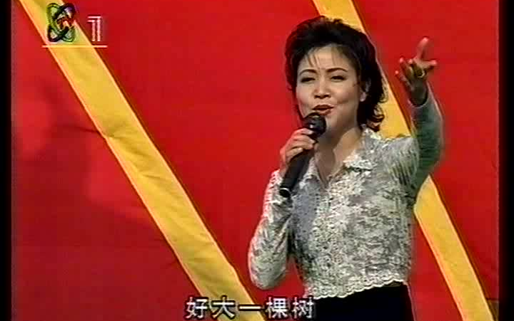 [图]林萍 苏红 《好大一棵树》 1998心连心走进广西百色