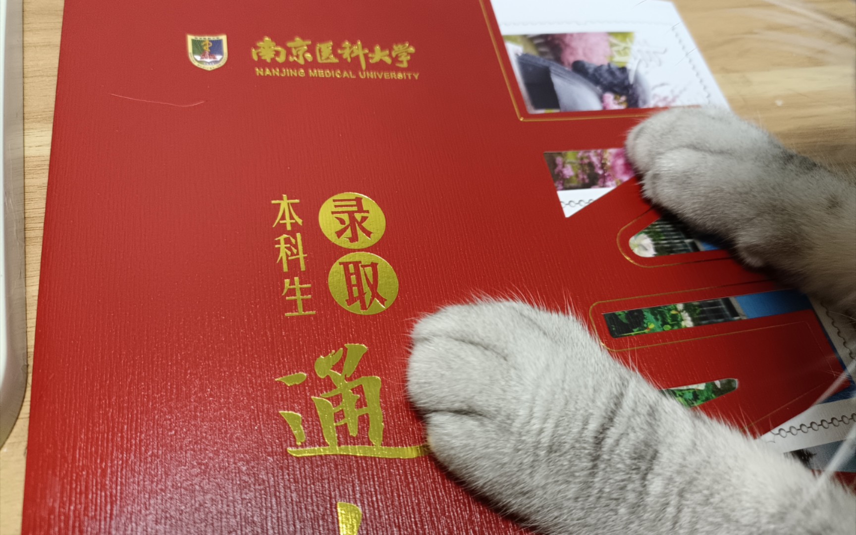 【南京医科大学/录取通知书/开箱】2022级江苏考生/和猫猫一起来拆南