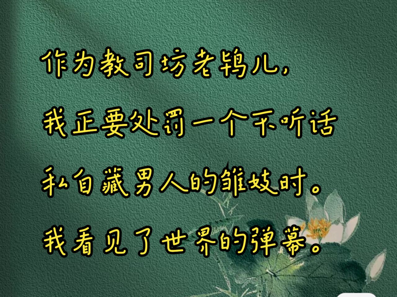 作为教司坊老鸨儿,我正要处罚一个不听话私自藏男人的雏妓时.我看见了世界的弹幕.哔哩哔哩bilibili