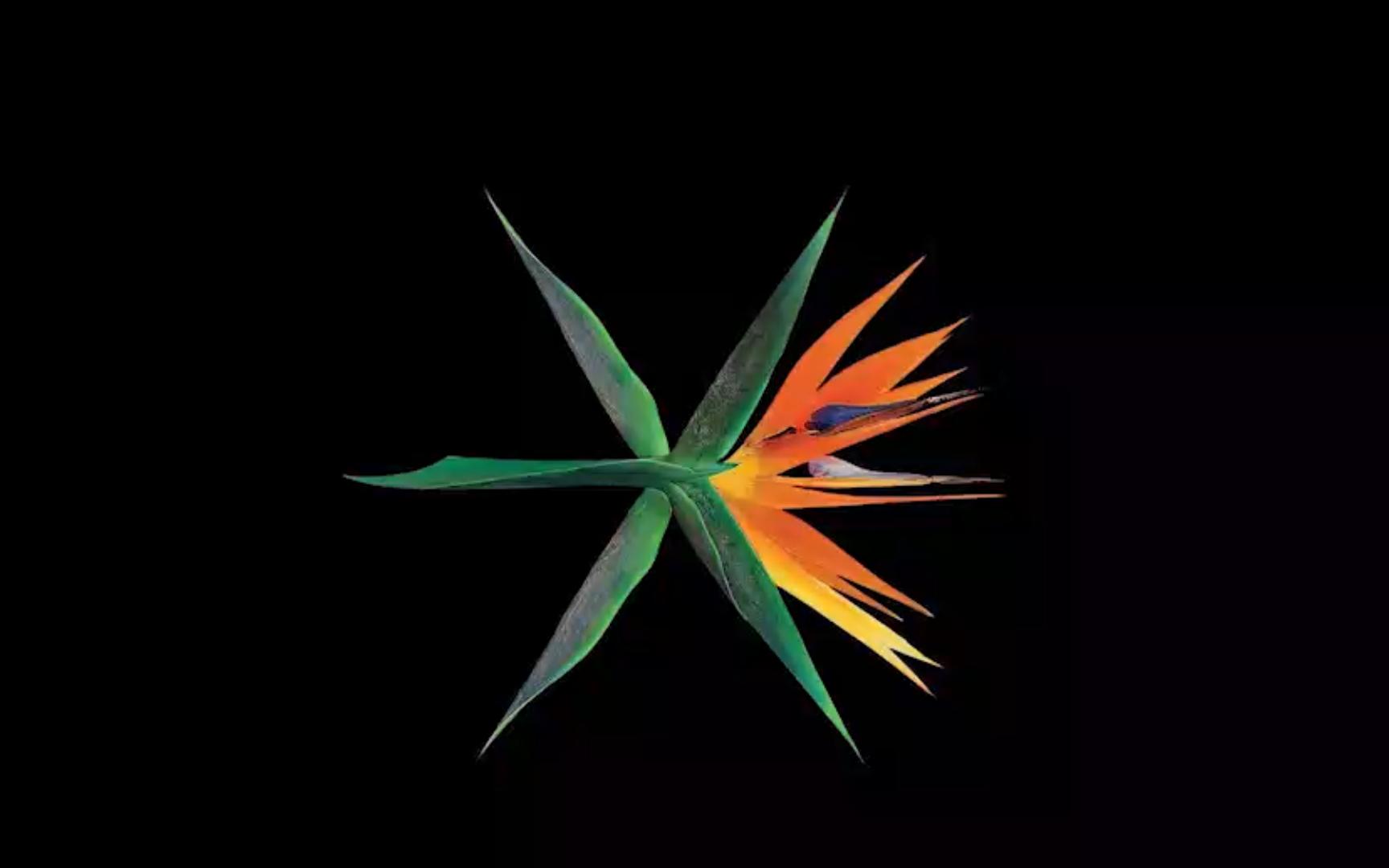 【人声提取】破风 exo