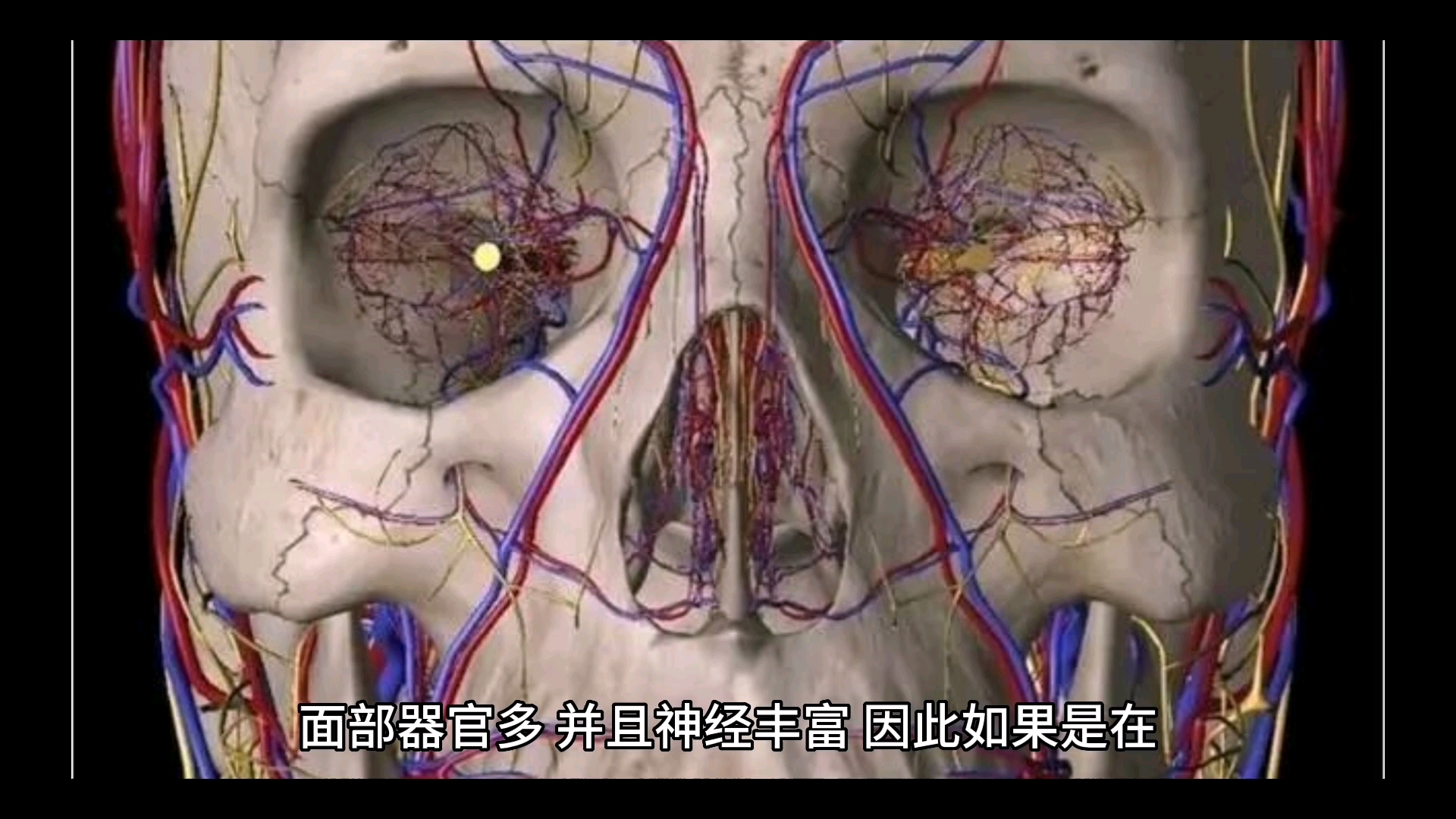 [图]击打头部哪个部位会让人失去行动能力？