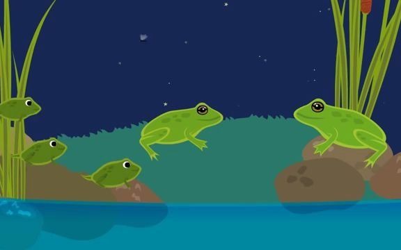 [图]青蛙的生命循环Frog life cycle animation