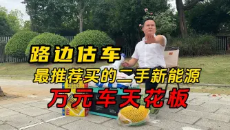 Download Video: 最推荐买的二手新能源，万元车天花板！