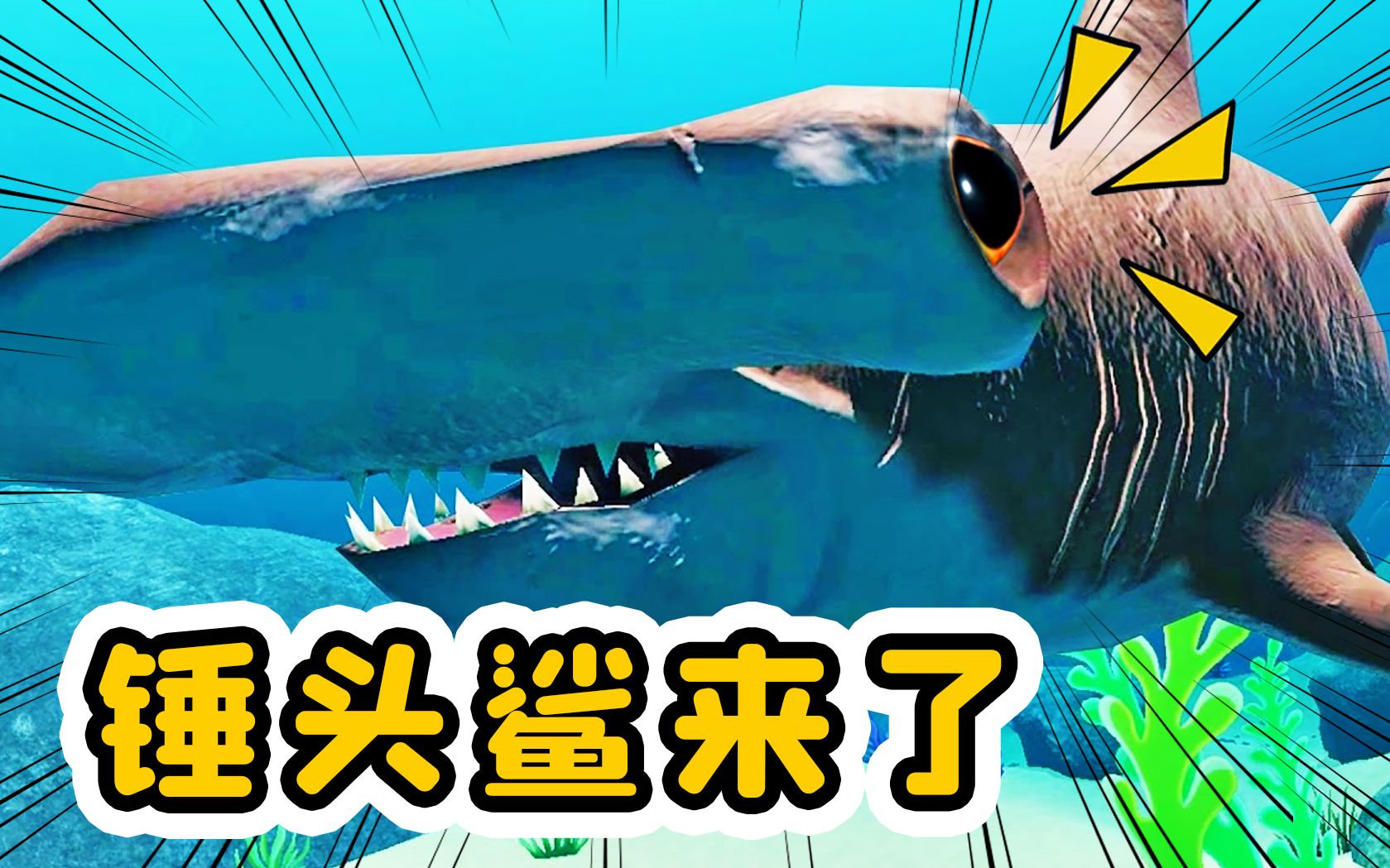 海底大猎杀35:最强锤头鲨,它的眼睛是移动的雷达