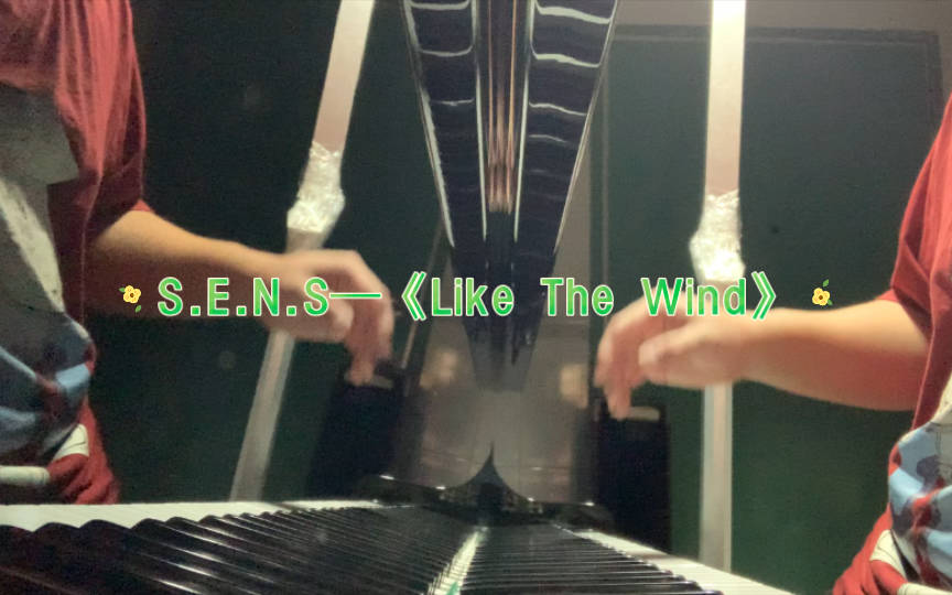 [图]来自日本音乐组合神思者S.E.N.S《沉醉于风中》，《Like The Wind》也译作《宛如清风》