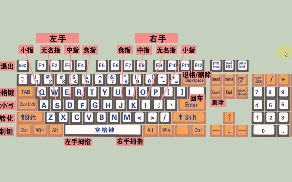 零基础学电脑打字入门教程,老师一步一步教会你哔哩哔哩bilibili