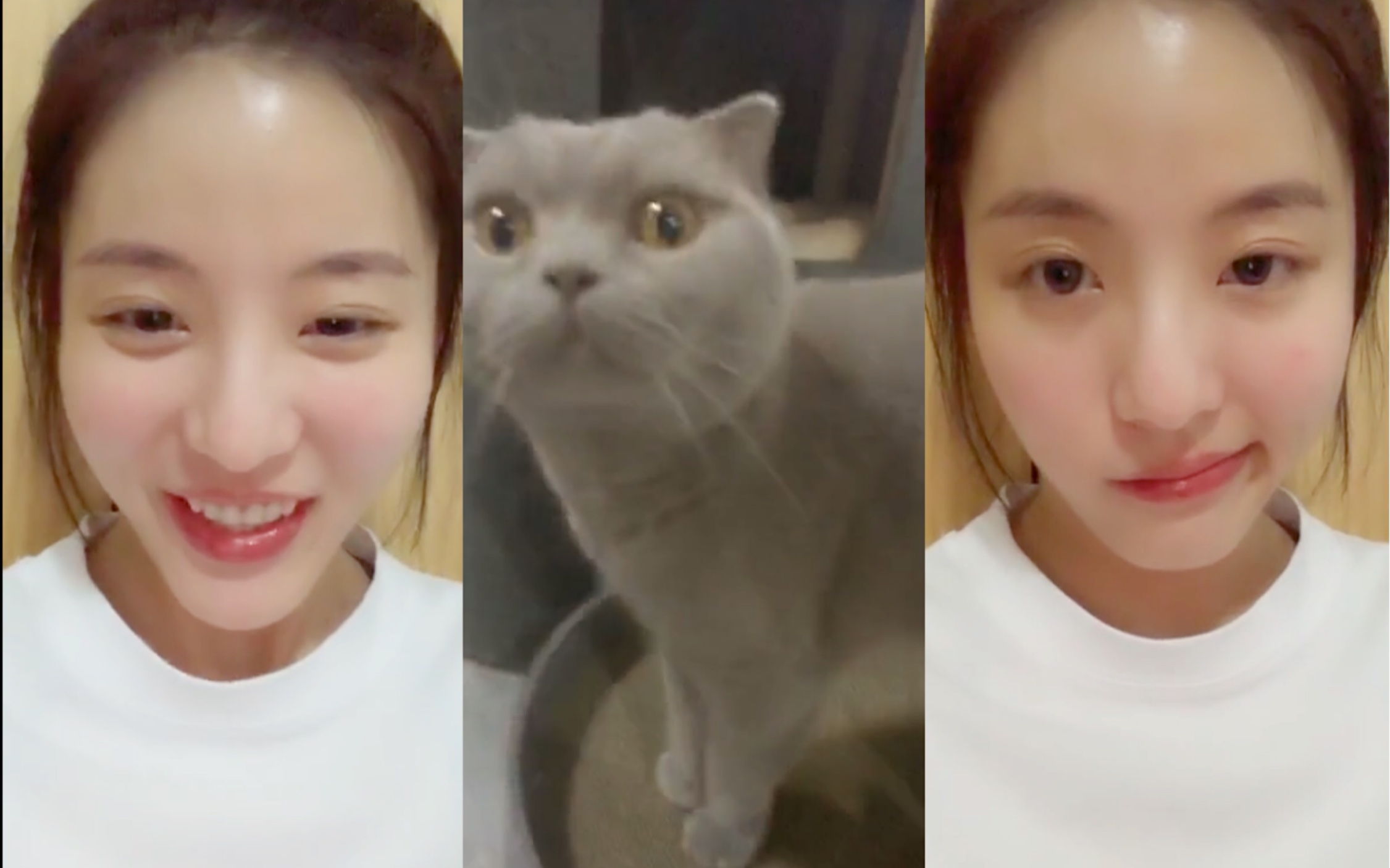 【snh48孙芮】排练中突然直播,分享育猫小知识——20191023口袋48直播