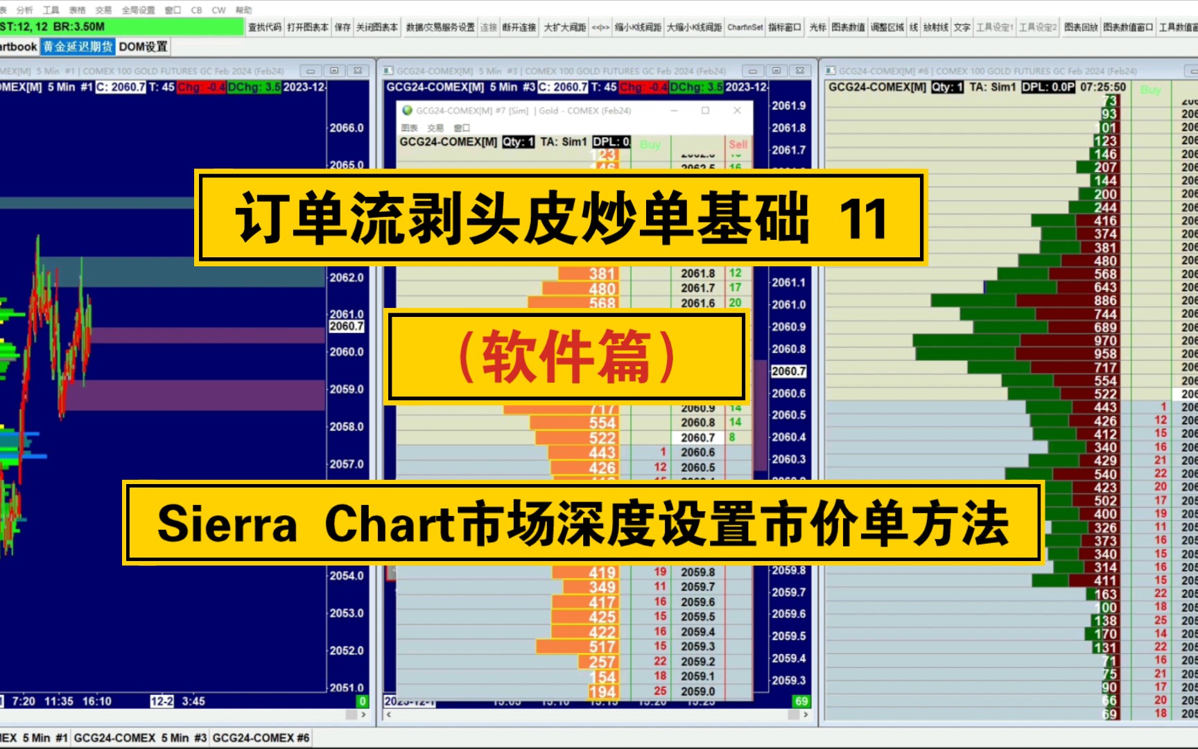 订单流剥头皮炒单基础11软件sierra chart市场深度设置市价单的方法哔哩哔哩bilibili