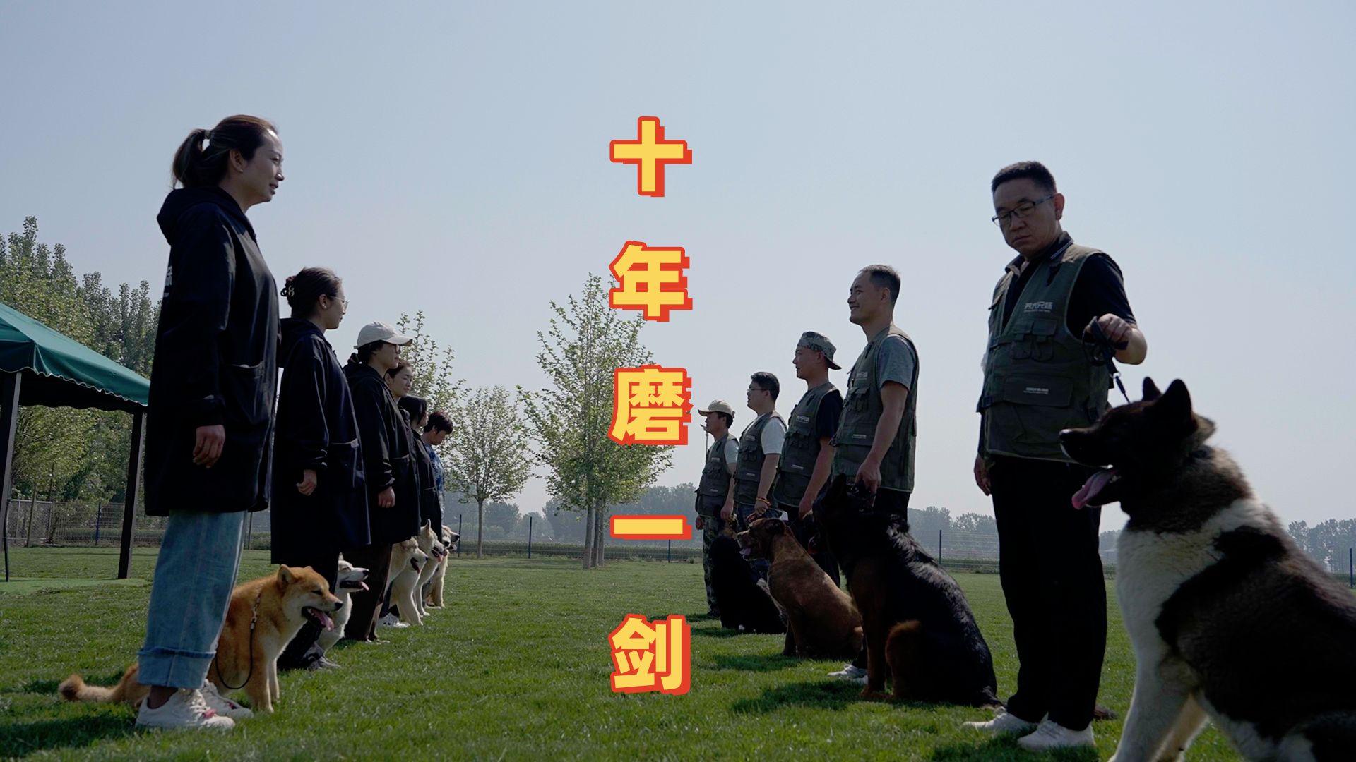 【养犬兄妹】十年磨一剑,我们终于把犬舍做成了自己想要的样子哔哩哔哩bilibili