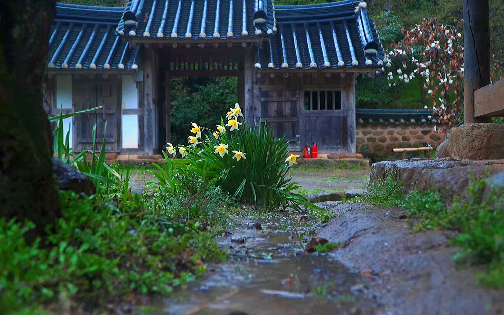 [图]【治愈系催眠】古宅庭院微风小雨，给你最舒适的睡眠环境