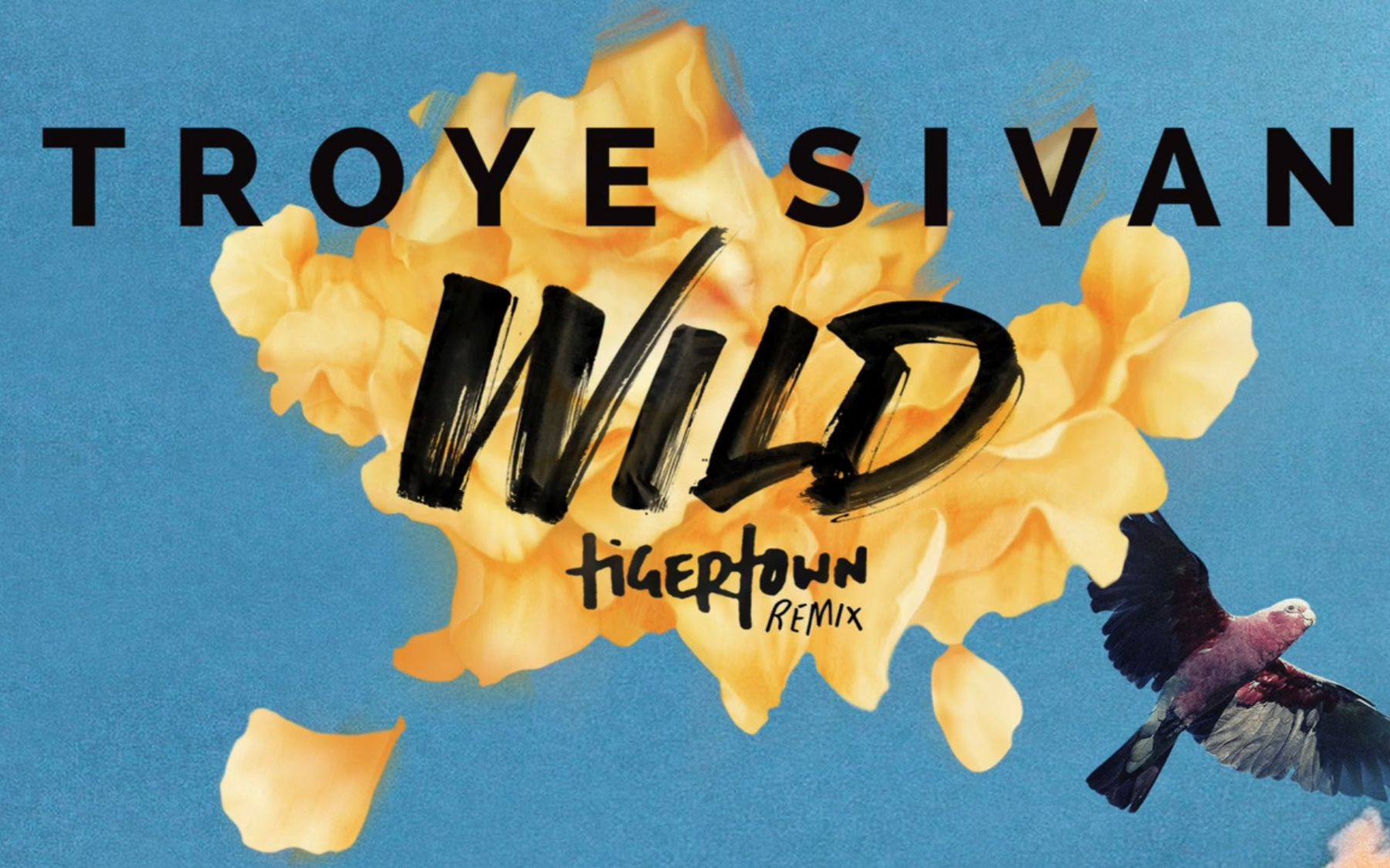 【戳爷】【wild】troye sivan 