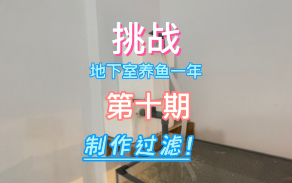 滴流盒教学哔哩哔哩bilibili