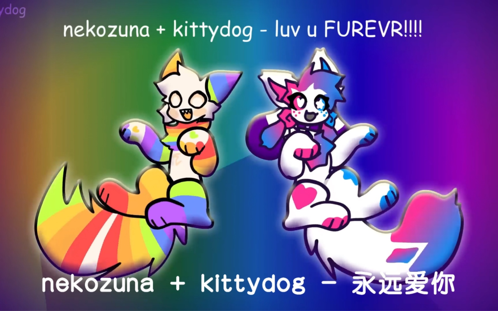 [图]【熟肉/搬运/音乐MV】Kittydog & Nekozuna - luv u FUREVR!!!!