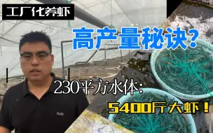 Video herunterladen: 工厂化室内养虾：如何做到高产，从一个试验车间做起