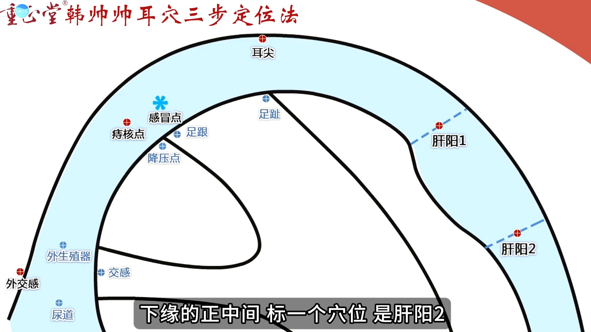 耳穴三步定位法—12哔哩哔哩bilibili