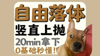 【高一物理】自由落体/竖直上抛，20分钟彻底掌握！
