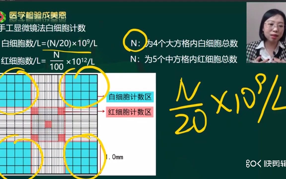 [图]Neubauer计数板——医学检验讲师（成美恩）