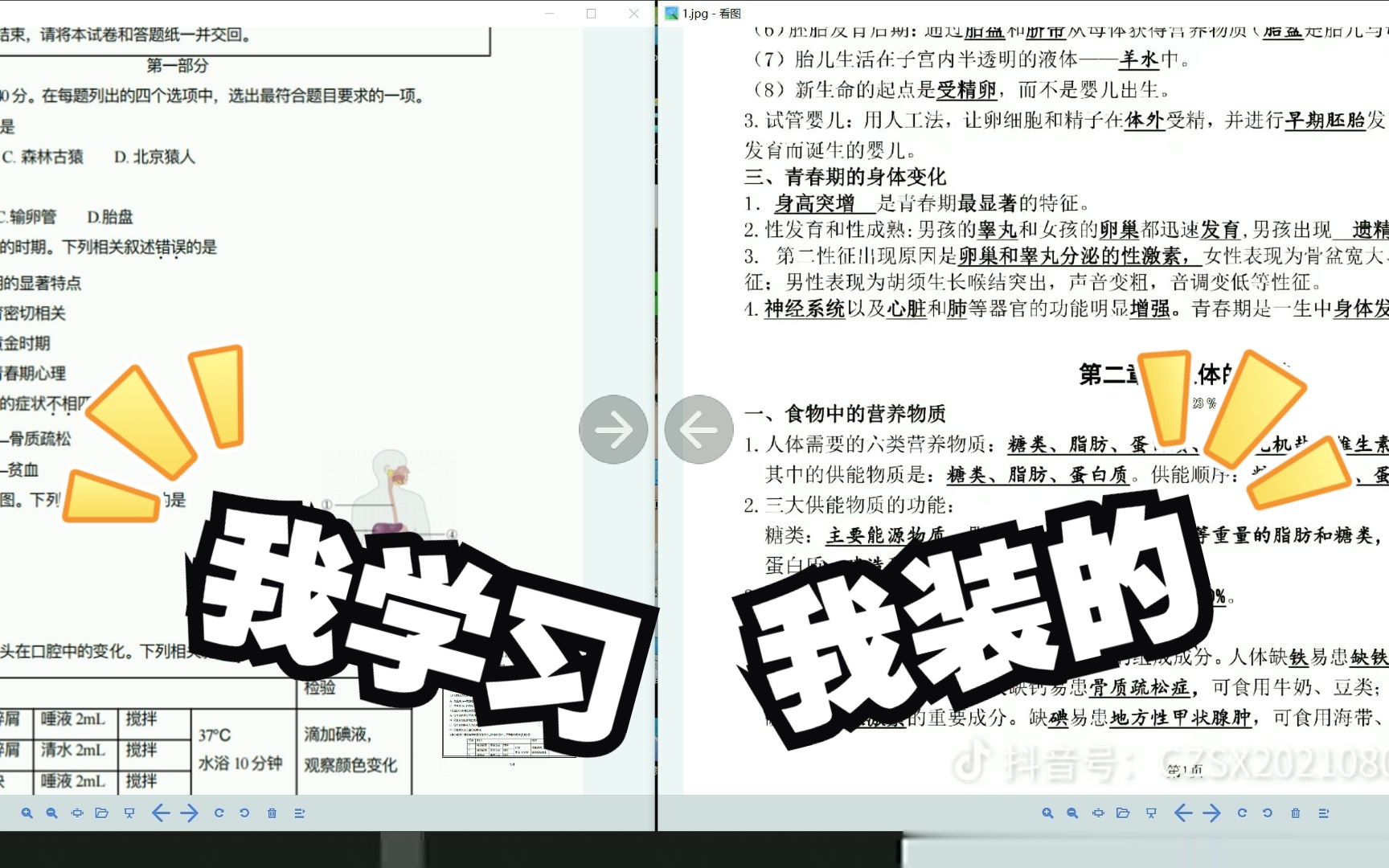 2022年北京市北京市海淀区七年级下学期期末生物试卷哔哩哔哩bilibili